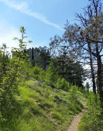 Approaching the Castle